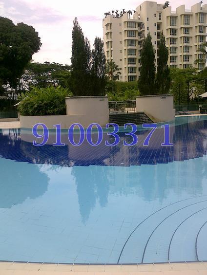 Signature Park (D21), Condominium #102393562
